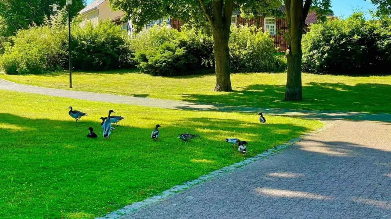 Gaestehaus Ambiente Am Kurpark باد سودين أليندورف المظهر الخارجي الصورة